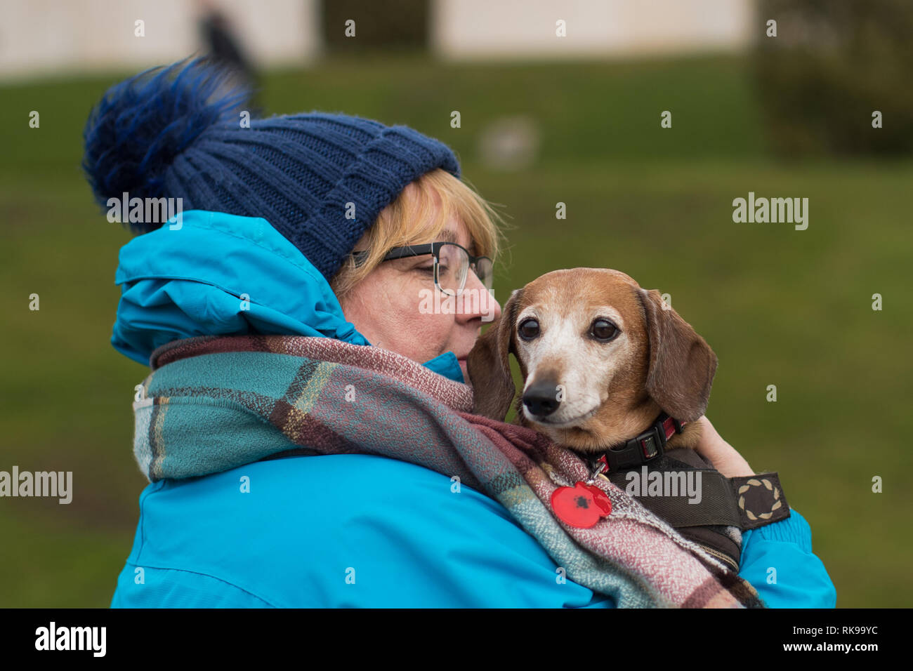 Jayne Jenkinson y Woody una miniatura Dachshund como cientos de perros y sus propietarios asisten al evento anual Paws for Remembrance del National Memorial Arboretum en Alrewas, Staffordshire. Foto de stock