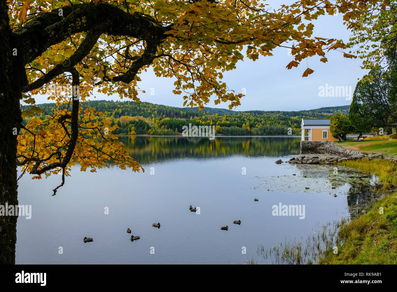 Vista al lago con una casa amarilla, cerca de Oslo Foto de stock