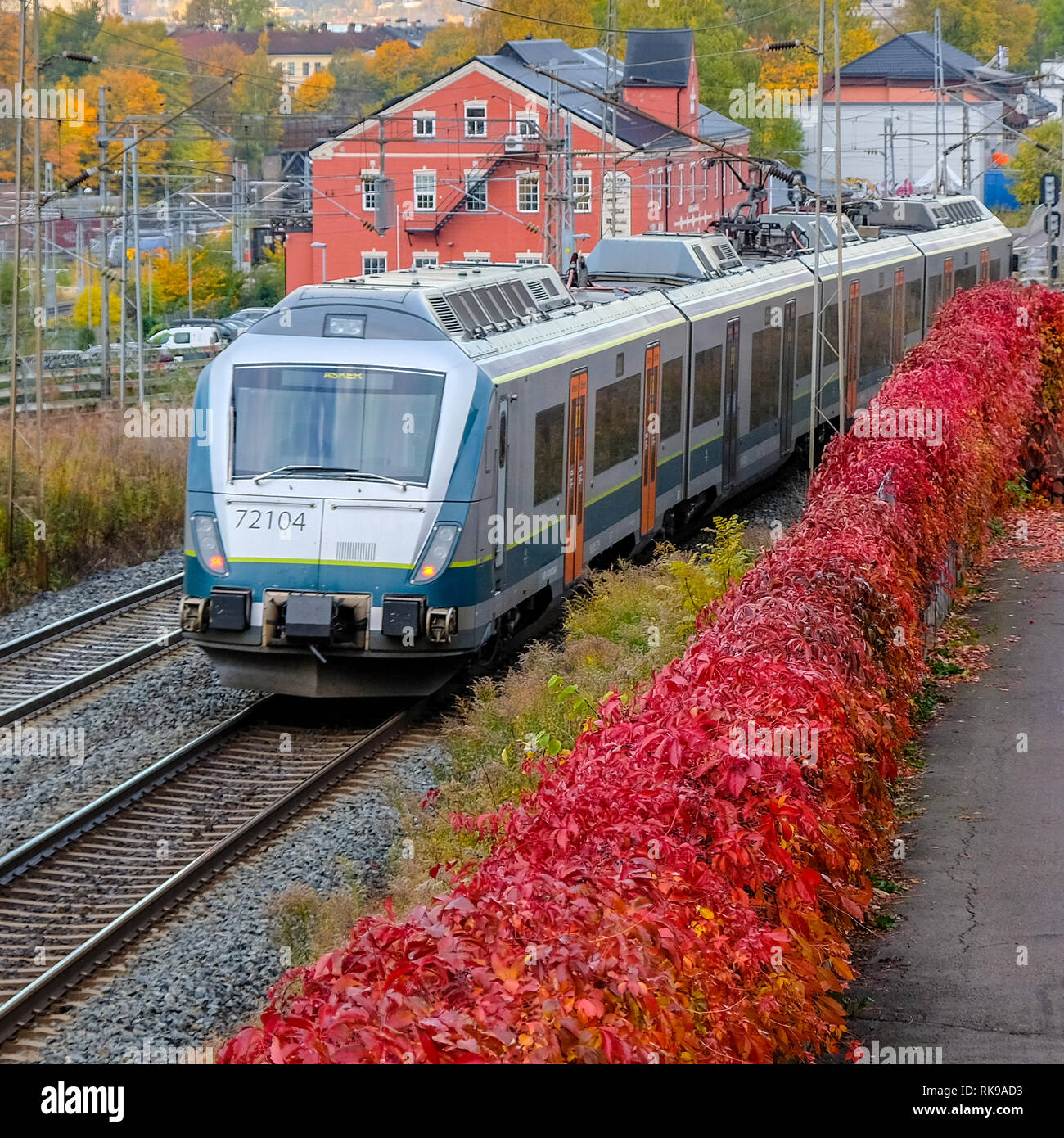 Tren de cercanías en Oslo durante el otoño Foto de stock