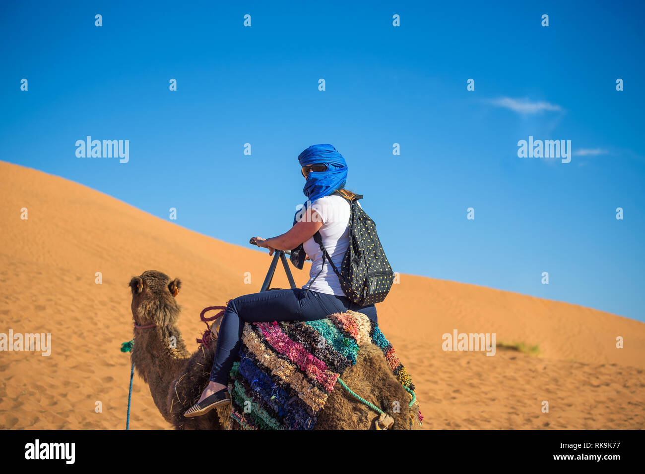 Paseos turísticos a camello por las dunas de arena en el desierto del Sáhara Foto de stock