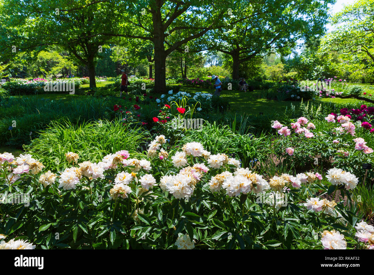El Jardín Botánico de Montreal, un