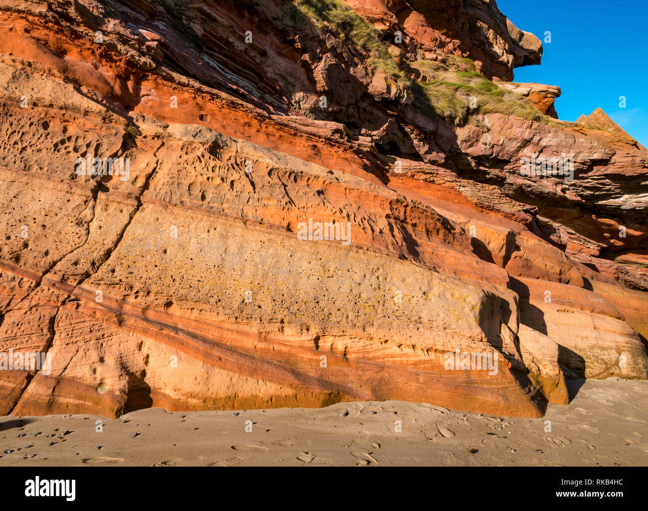Devoniano capas sedimentarias estratos de roca arenisca en acantilado, hierro coloración, Pease Bay, Berwickshire, Escocia, Reino Unido Foto de stock