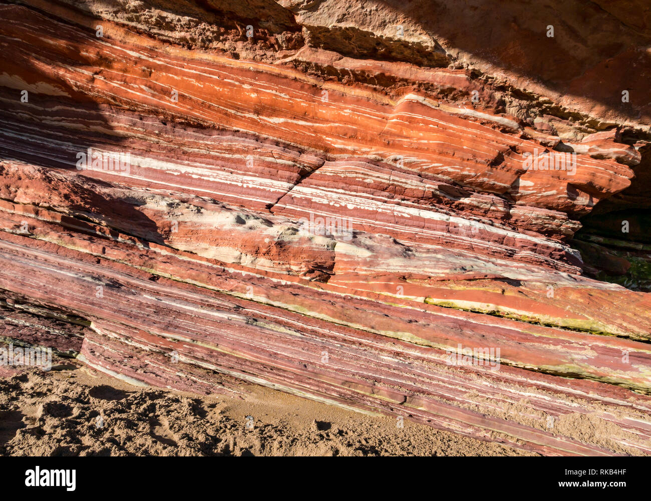 Devoniano capas sedimentarias estratos de roca arenisca en acantilado, hierro coloración, Pease Bay, Berwickshire, Escocia, Reino Unido Foto de stock