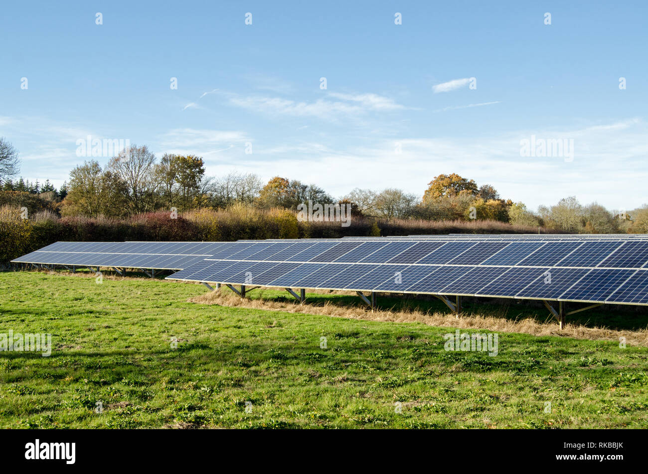 Un campo lleno de paneles fotovoltaicos para generar energía solar en Hampshire, Inglaterra. Visto desde una carretera pública en una soleada tarde de invierno. Foto de stock