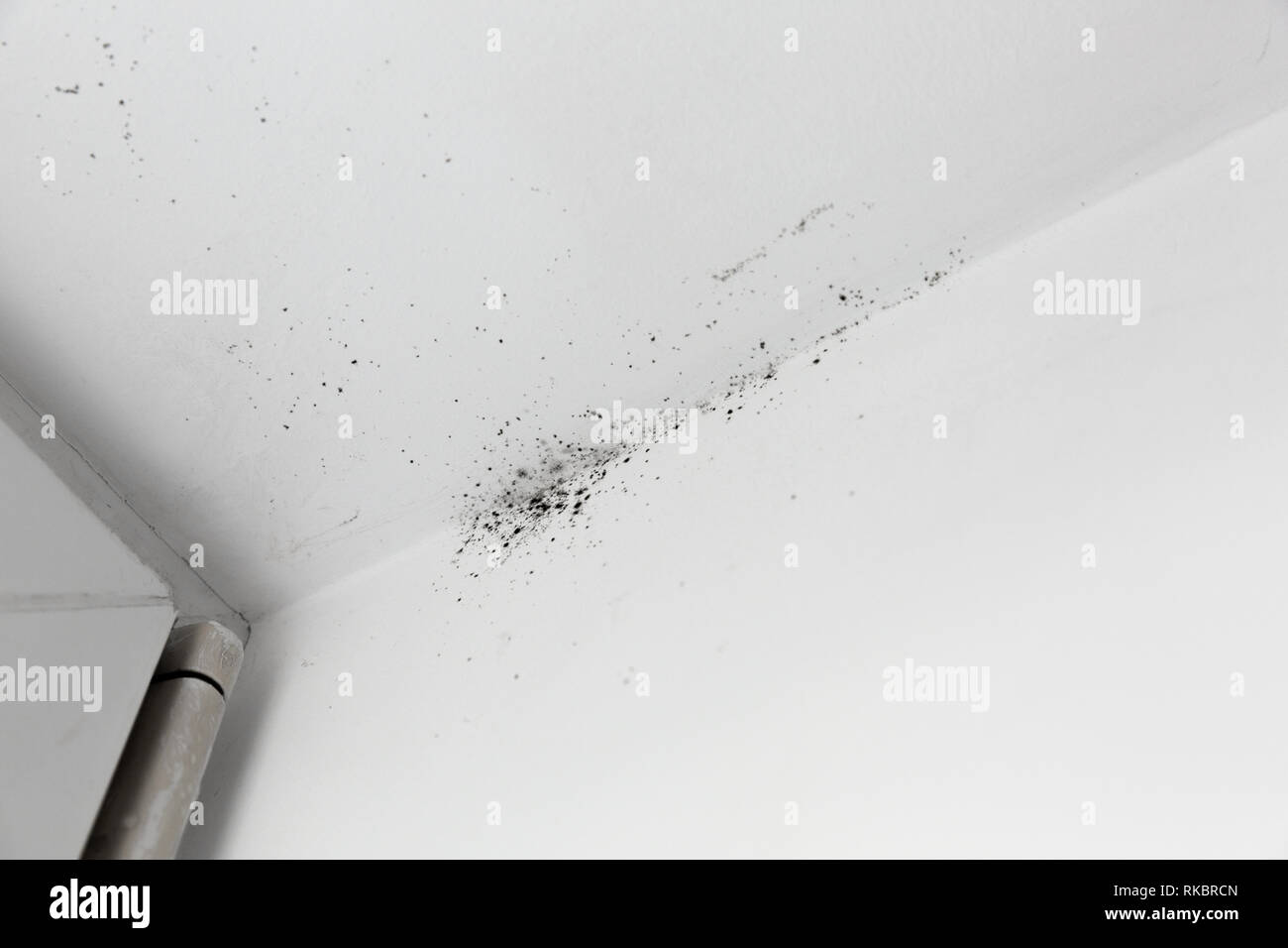 Molde En La Esquina De La Ventana En Una Pared Blanca Textura Del Fondo Fotografia De Stock Alamy
