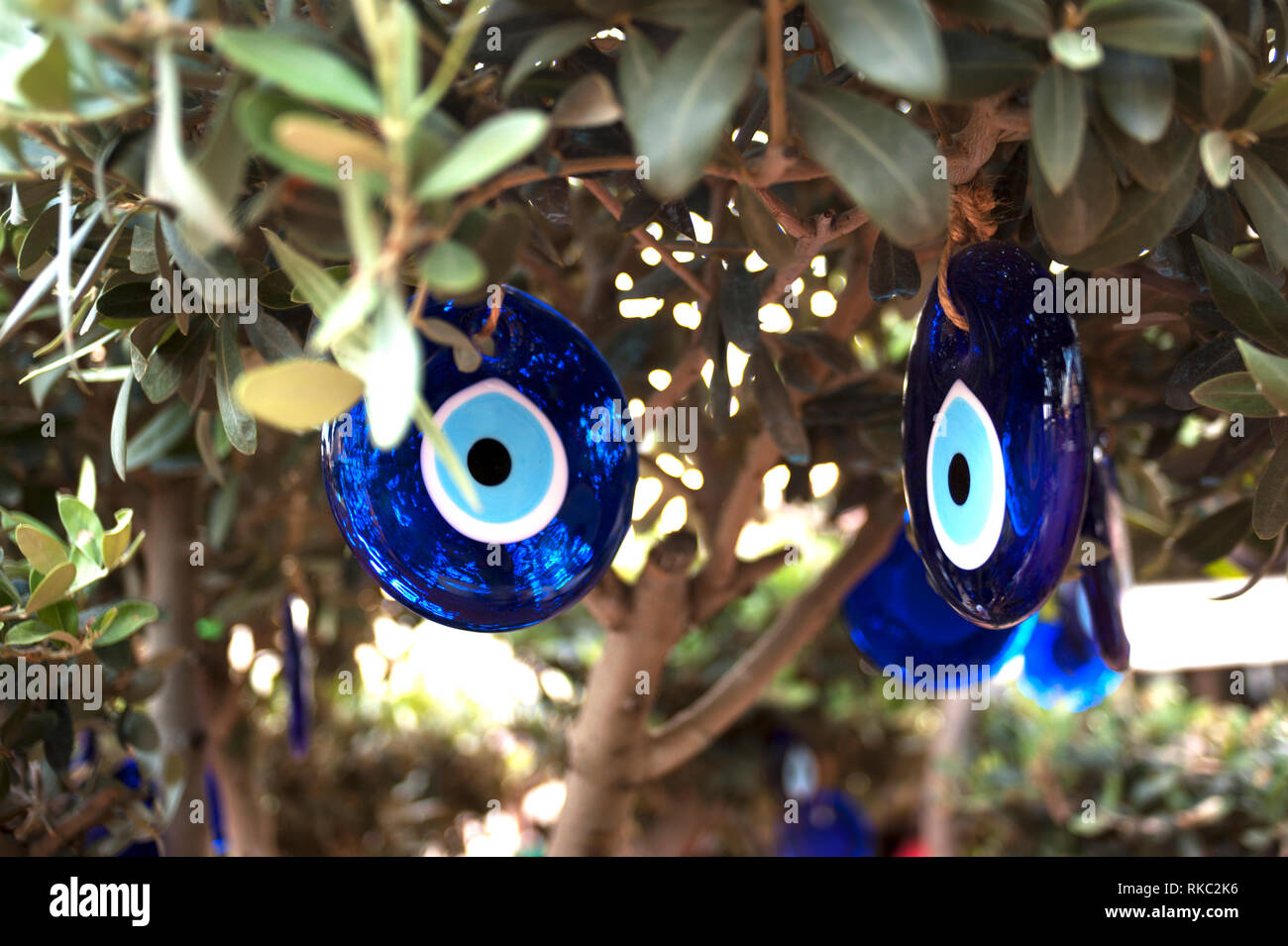 Amuletos contra el mal de ojo colgando de un árbol frente a una