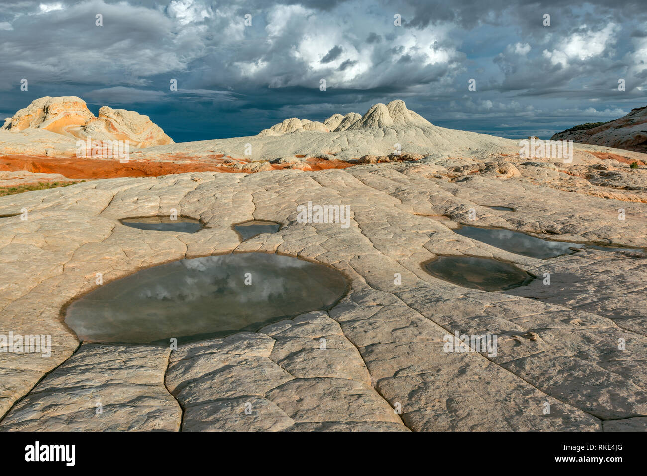 Los riscos de piedra arenisca, Vermillion Cliffs National Monument, meseta Paria, Arizona Foto de stock