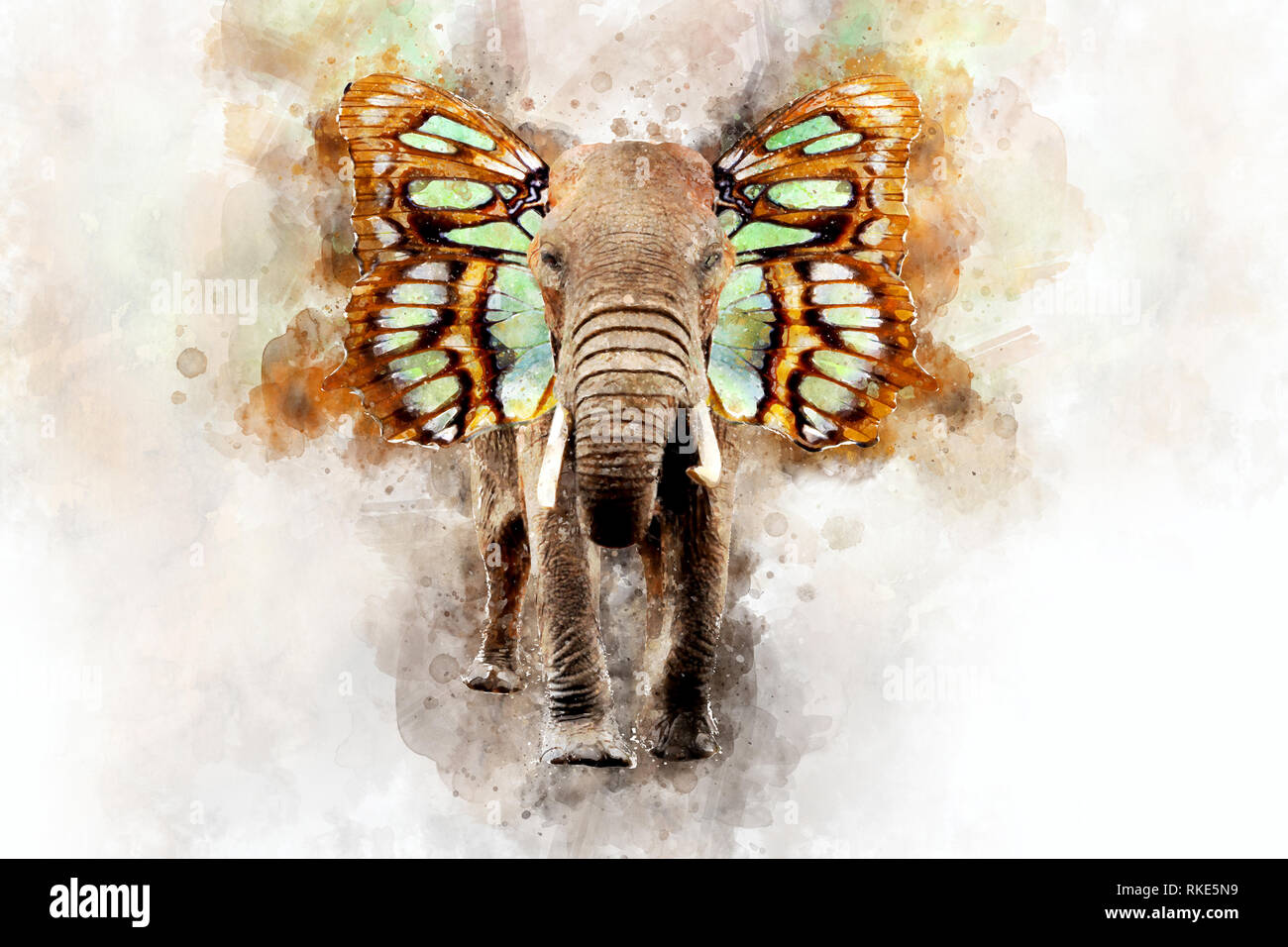 Ilustración acuarela retrato de elefante con orejas de mariposa. Hermosa  Wildlife World Fotografía de stock - Alamy