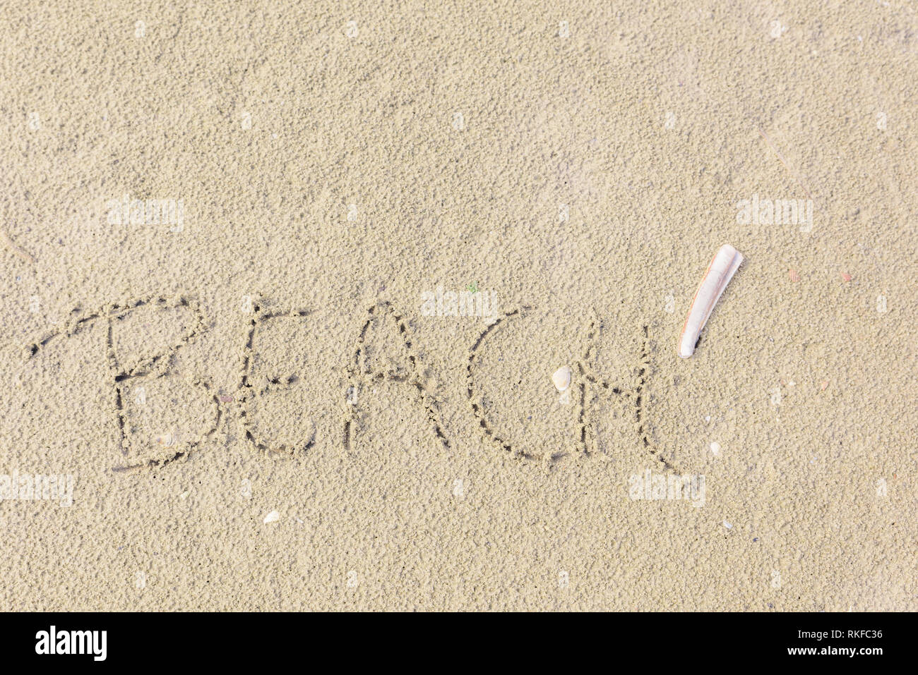 La palabra 'Playa' está escrito en la arena como un concepto de libertad, relajación y placer. Almeja navaja (Ensis ensis) se encuentra junto a la palabra en la arena Foto de stock