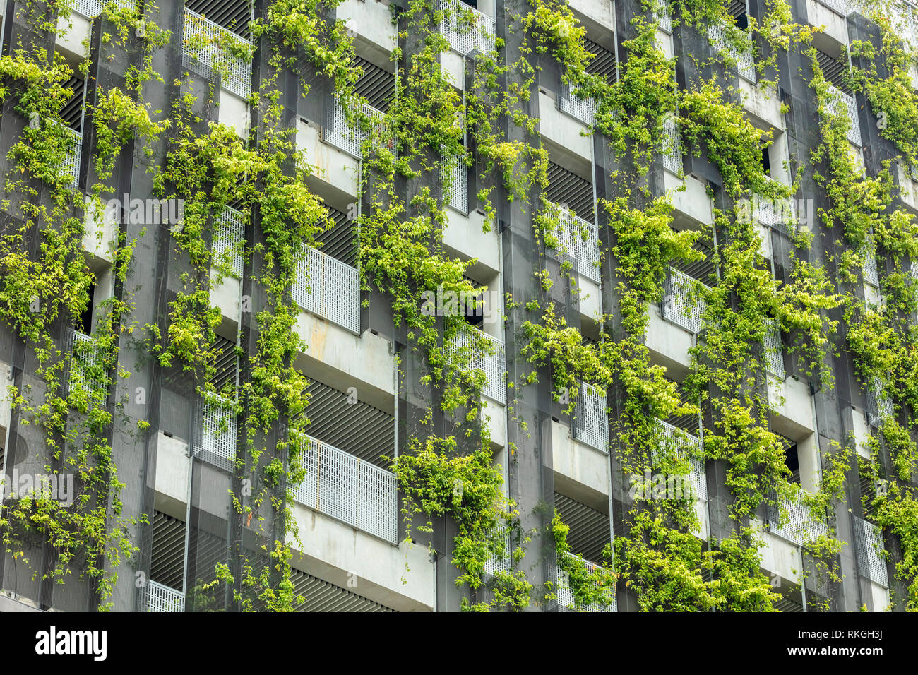 Edificio enverdecimiento vertical en Singapur urbanismo sostenible Foto de stock