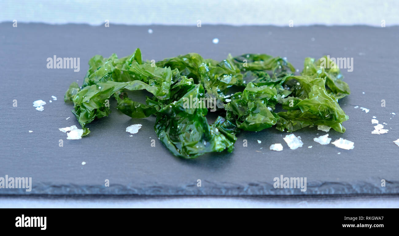 La lechuga de mar (Ulva lactuca), algas comestibles Foto de stock