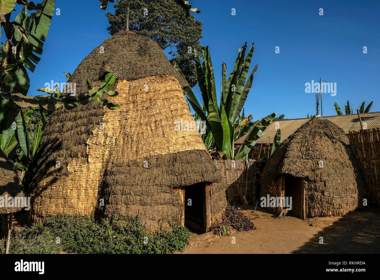 Estilo arquitectónico es mostrado en la cabaña africana de la etnia Dorze Chencha en la aldea en las montañas Guge en Chencha, Etiopía. Foto de stock