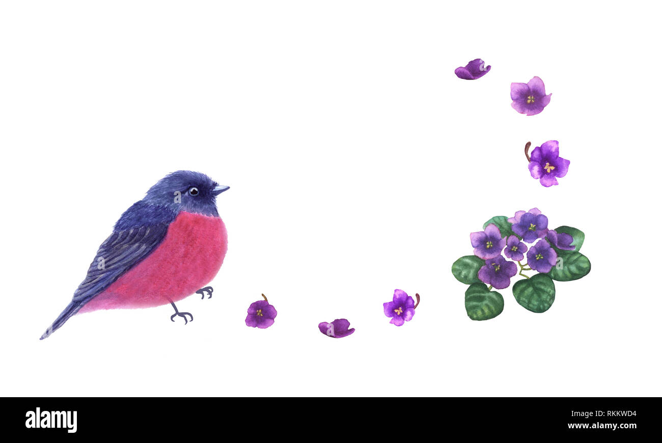 Poco rosa robin viola y flores aisladas sobre fondo blanco. Lindo pájaros y flores púrpura para el diseño, la tarjeta de felicitación. Foto de stock