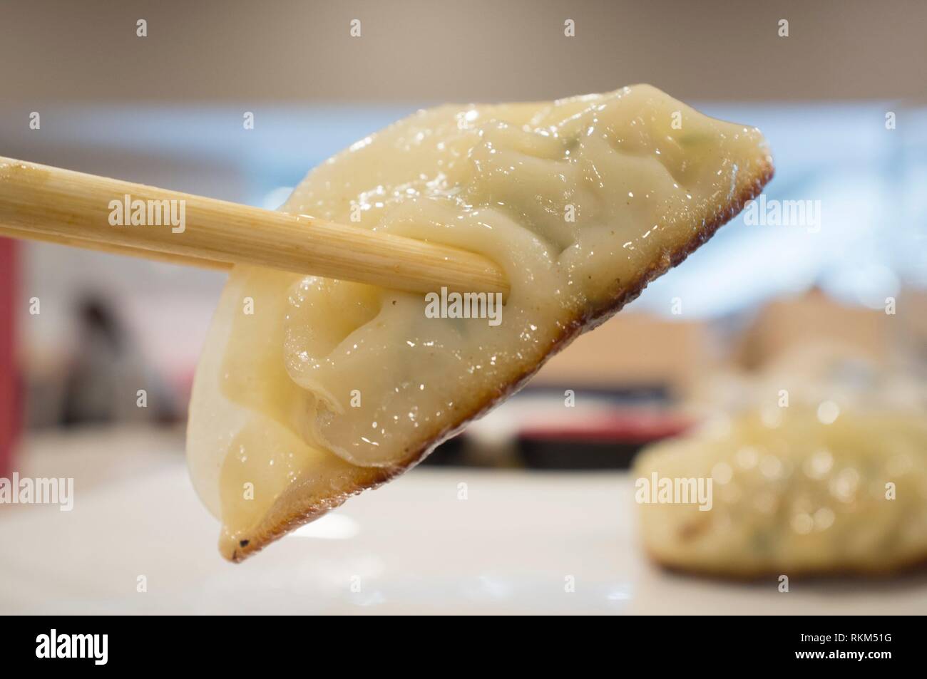 Dumpling gyoza de vapor entre los palillos. Closeup. Foto de stock