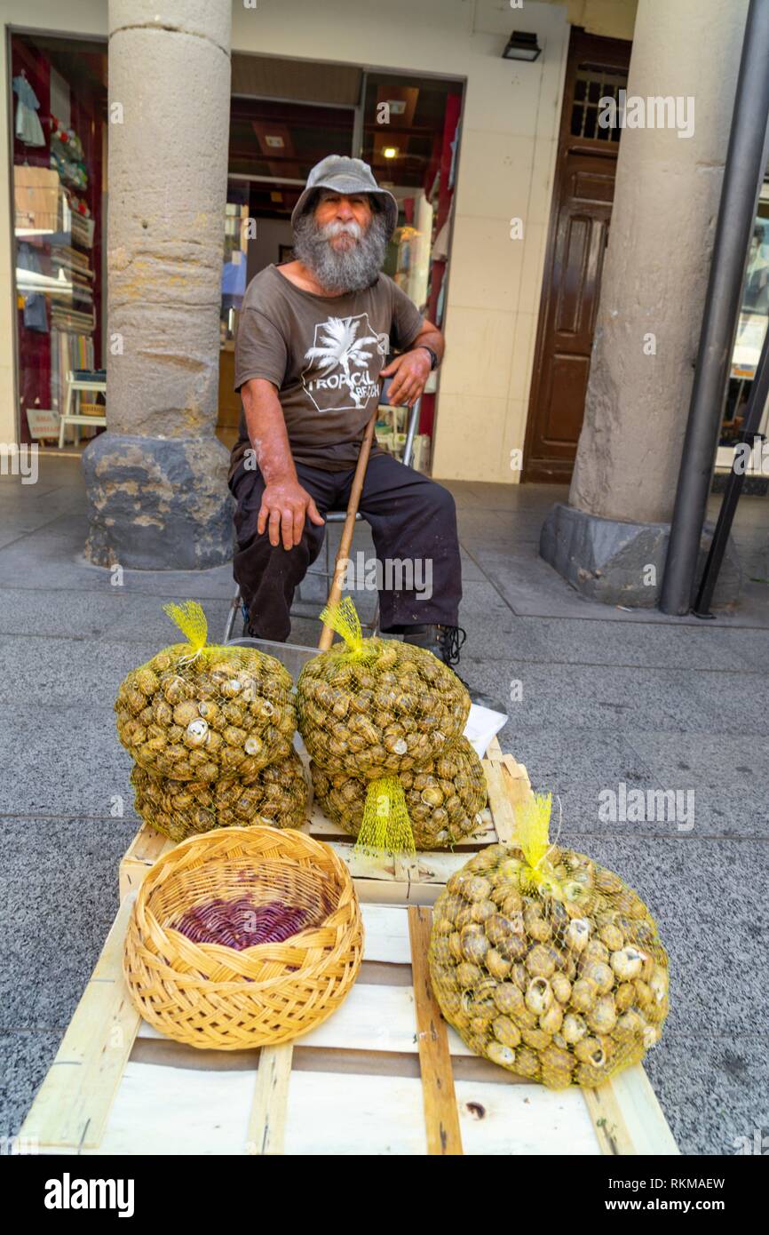 Vendedor recolector de caracoles, mercado al aire libre, Barbastro, , cordillera de los Prepirineos, España. Foto de stock