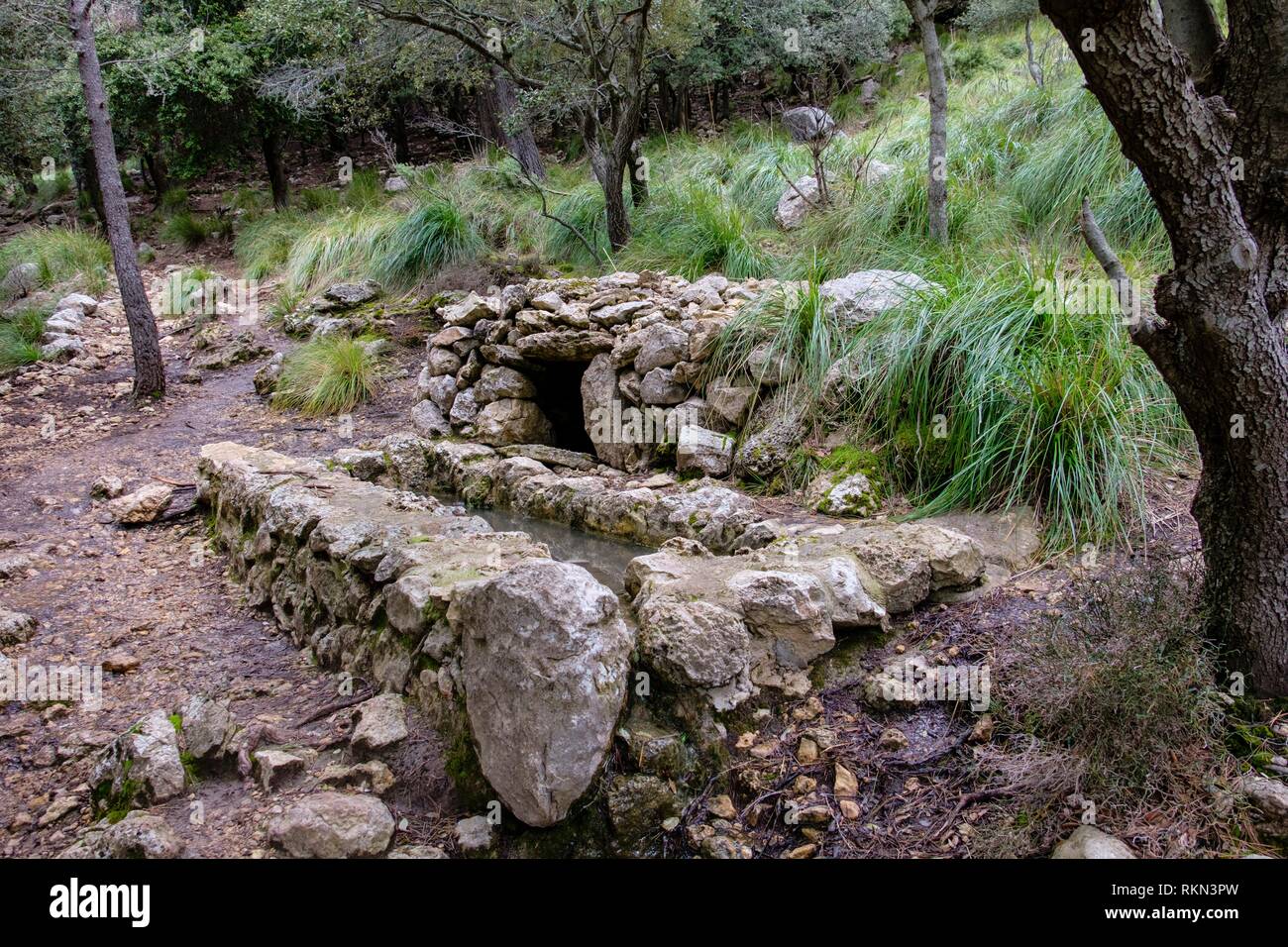 Fuente de ses lanza den la Gallina, Escorca, paraje natural de la Serra de Tramuntana, Mallorca, Islas Baleares, España. Foto de stock
