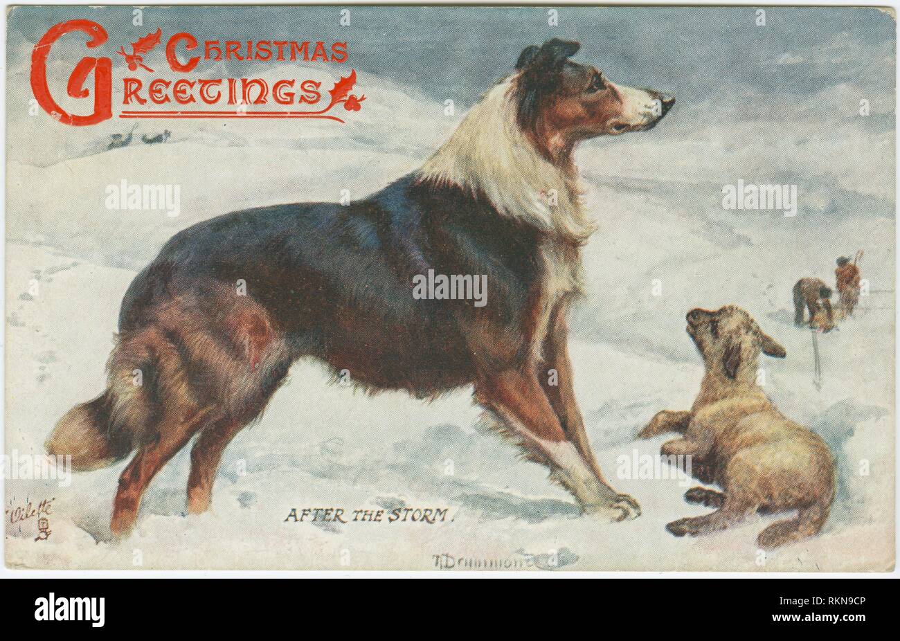 El grupo de arte tarjeta de saludos perros en el viento