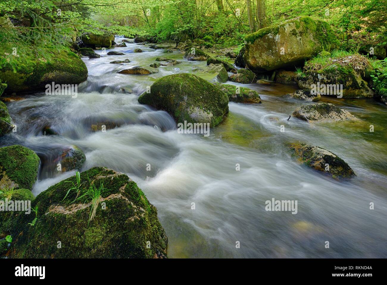 Río Bode (Bode) Kalte Elendstal en el valle. Kalte Bode, Schierke, Harz, Sajonia-Anhalt, Alemania, Europa. Foto de stock