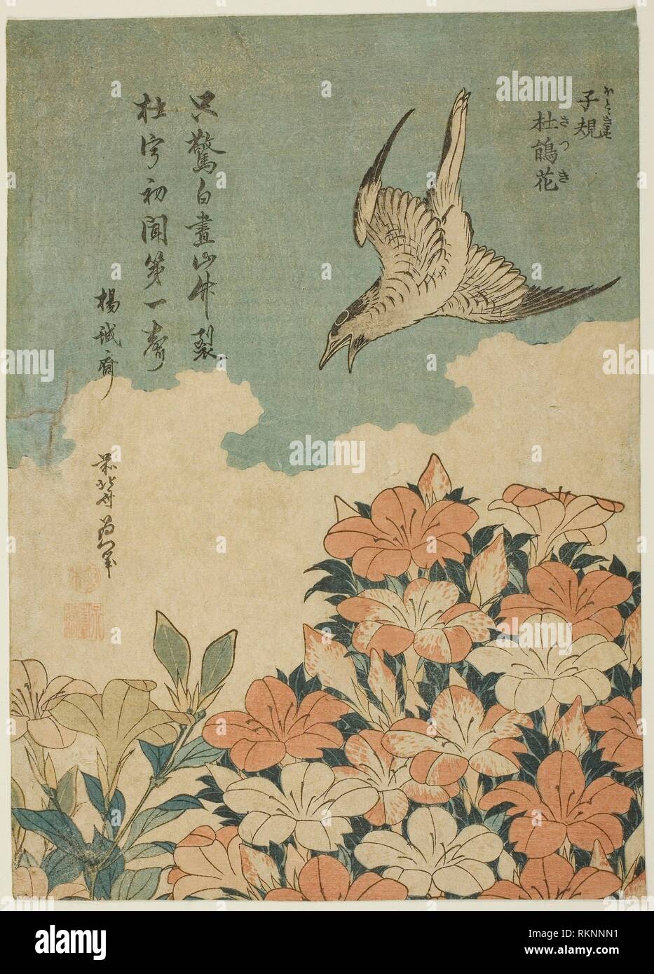 Cuco y azaleas (Hototogisu, Satsuki) - c. 1834 - Katsushika Hokusai ?? ??  Japonés, 1760-1849 - Artista: Katsushika Hokusai, Origen: Japón, Fecha  Fotografía de stock - Alamy