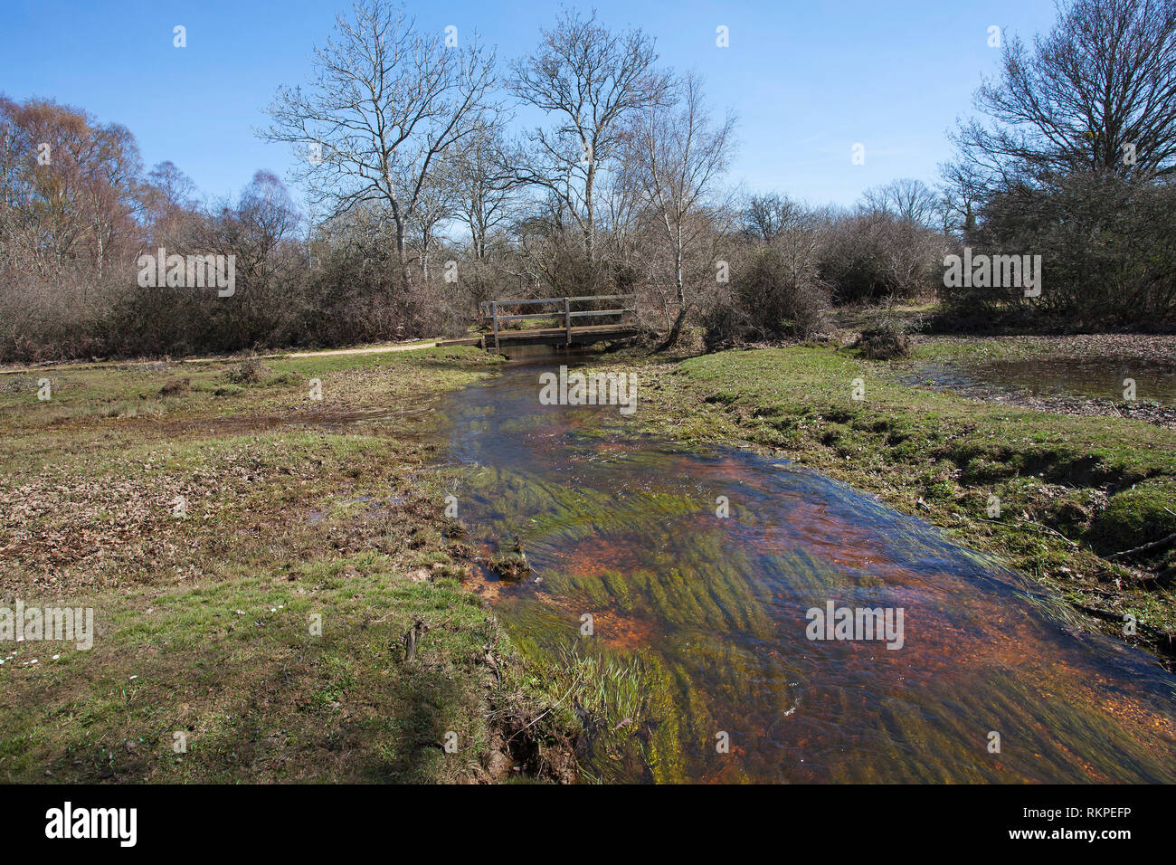 Camino de espinas fotografías e imágenes de alta resolución - Alamy