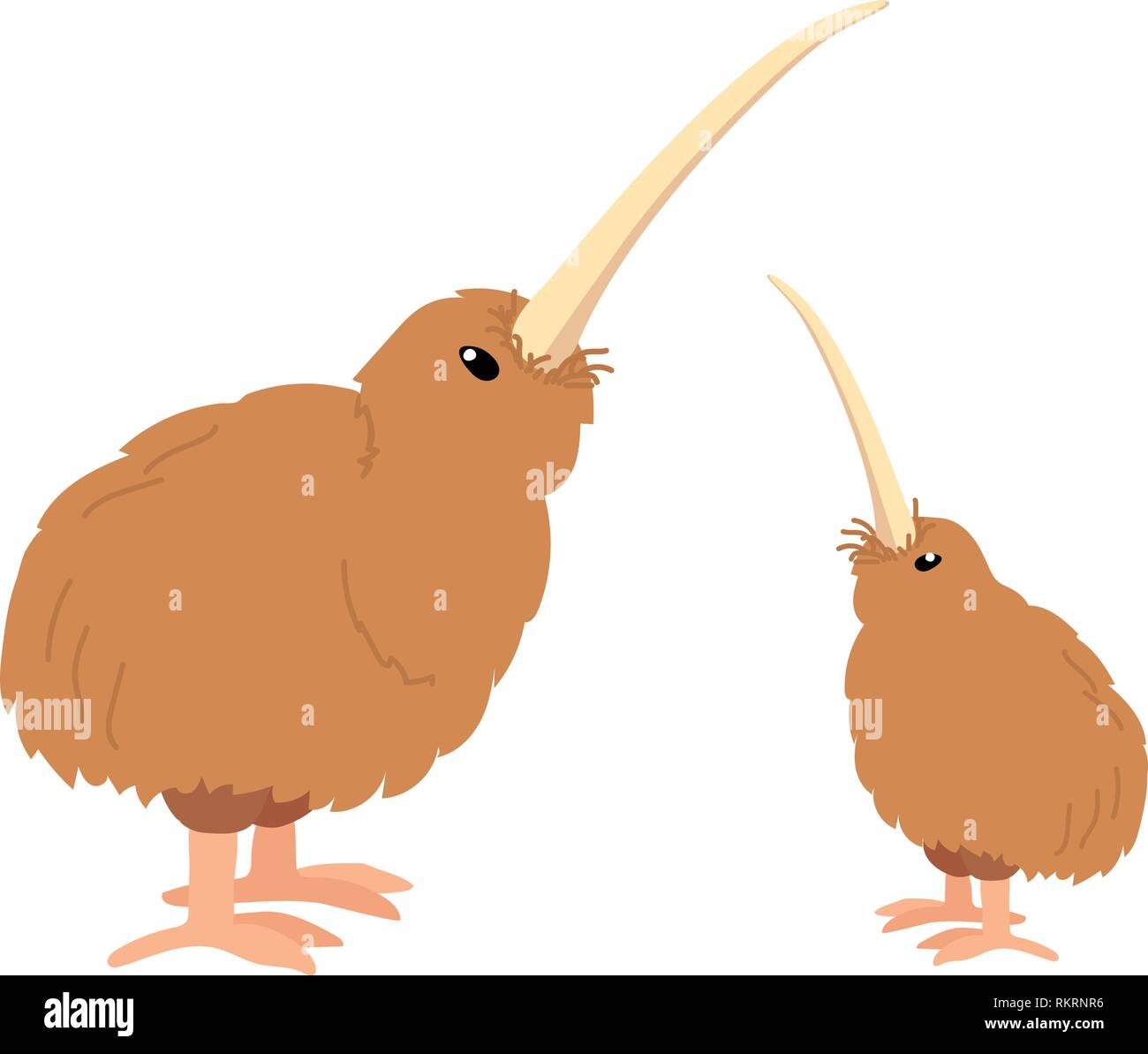 Kiwi Bird Vector Vectors Fotos E Imagenes De Stock Alamy