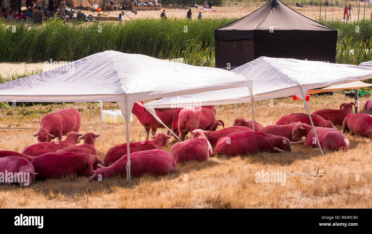 La icónica pink sheep refugio del intenso calor en Latitude Festival 2018. Foto de stock