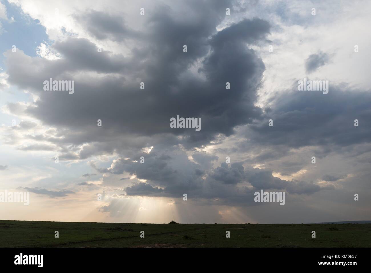 Nubes de tormenta. Temporada de lluvias. Kenia. África. Foto de stock