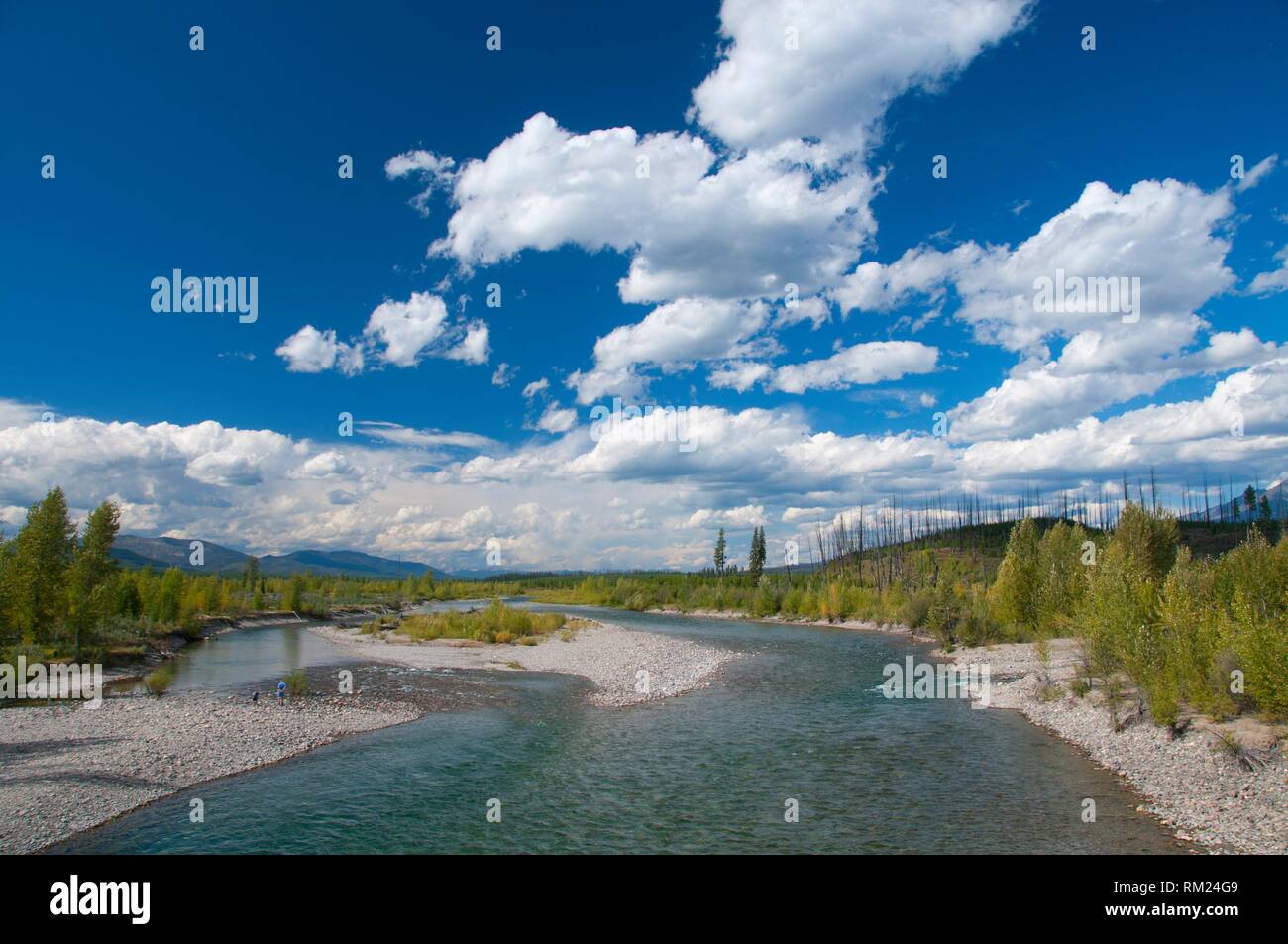 North Fork río Flathead en Polebridge, el parque nacional de Glacier, Montana. Foto de stock