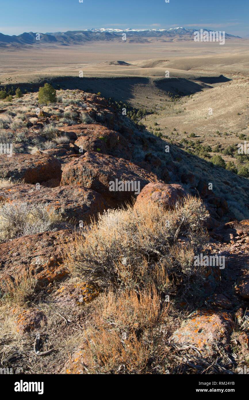 Punto Panorámico vista, Petroglifos Hickison Recreation Area, Monte Lewis Distrito Oficina de Manejo de Tierras, Nevada. Foto de stock