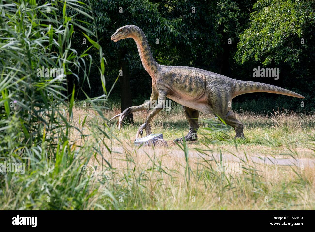 SCHIEDAM - Pulse preview del Jurásico, Reino de los Países Bajos. Reino Jurásico: donde los dinosaurios cobran vida, continúa su gira por Europa y Reino Unido. Foto de stock