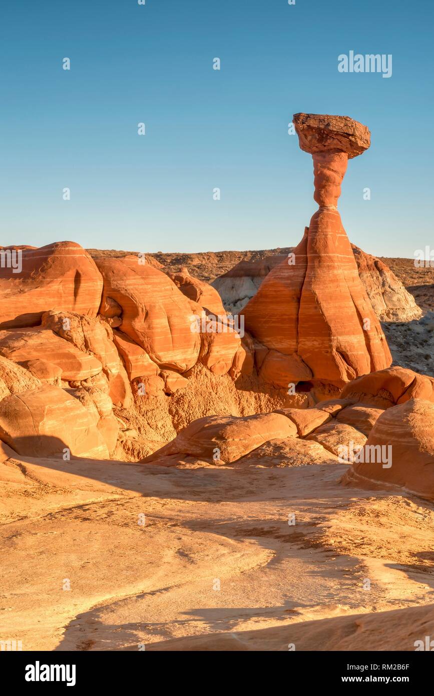 Luz del atardecer en piedra arenisca toadstoal hoodoo, Paria Rimrocks Toadstool Hoodoos, Utah, EE.UU.. Foto de stock