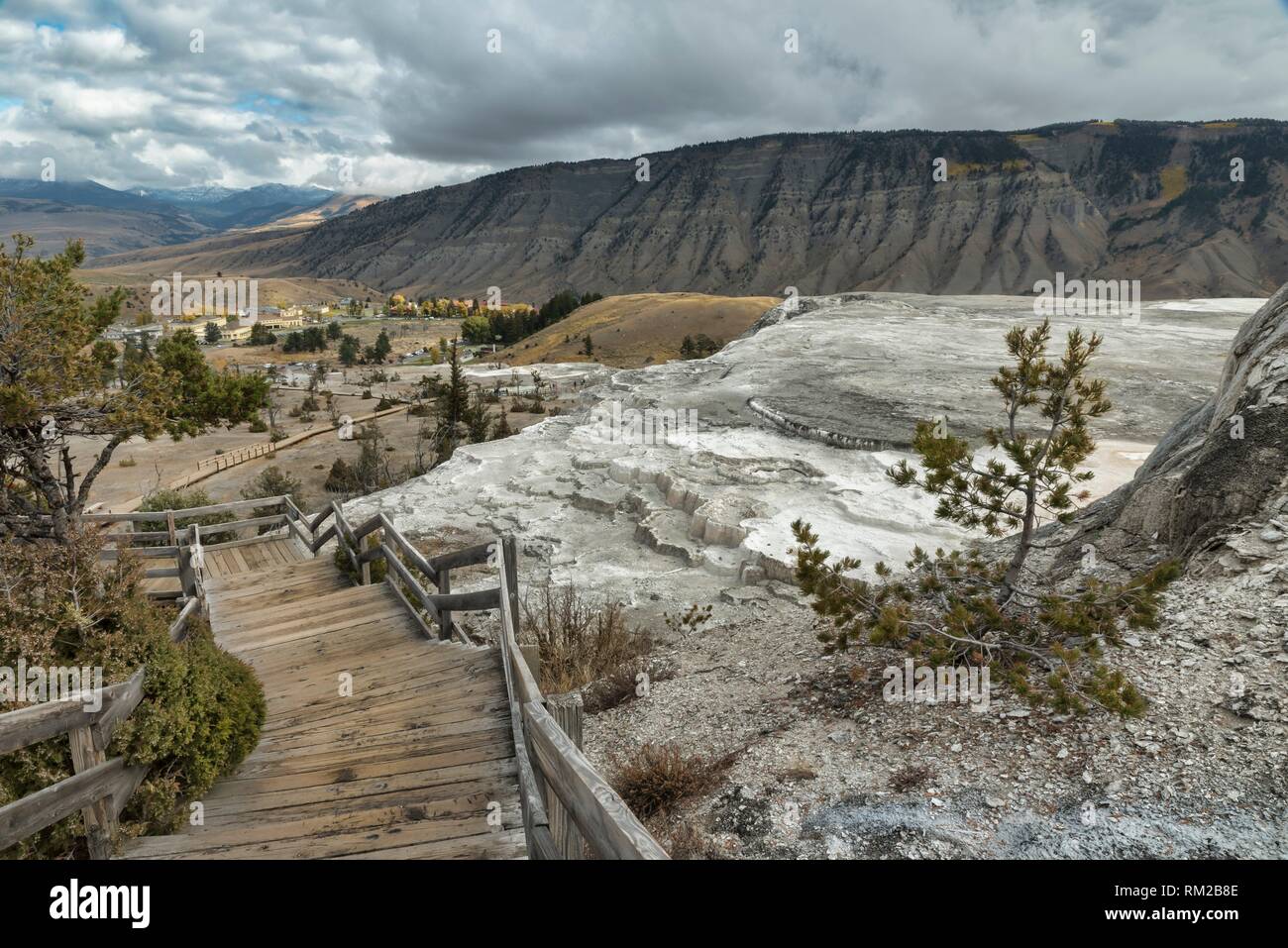 Mammoth Hot Springs olvidar el Parque Nacional de Yellowstone, Montana, Estados Unidos, lugar del mundo. Foto de stock