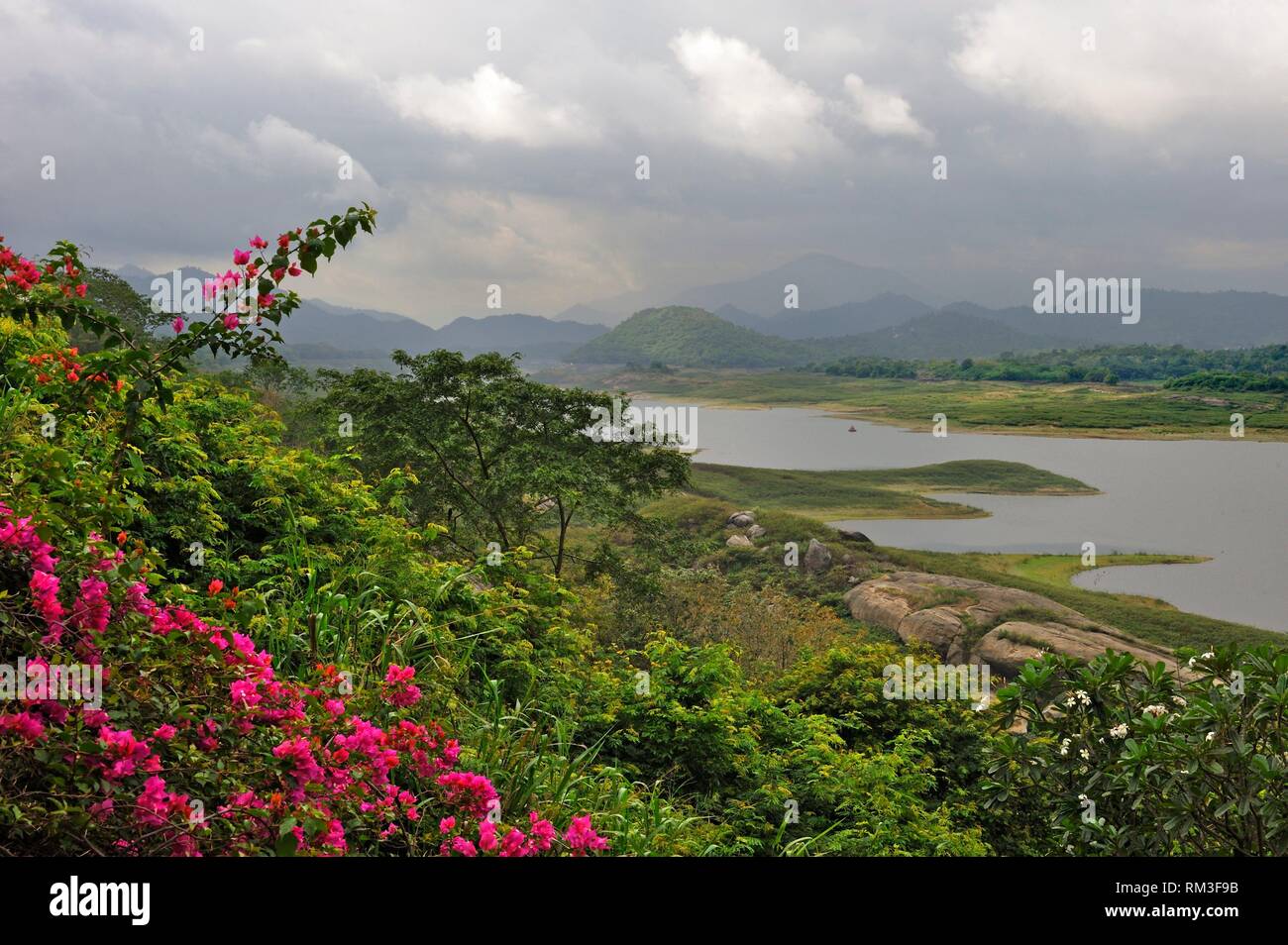 Sri Lanka, subcontinente indio, Asia meridional. Foto de stock