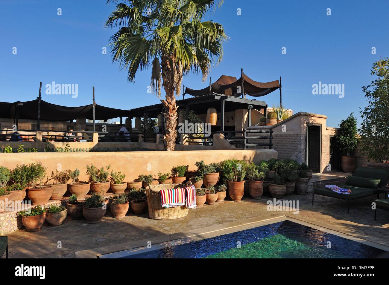 Piscina en una de las terrazas de la azotea en El-Fenn hotel, Marrakech, Marruecos, el Norte de África. Foto de stock