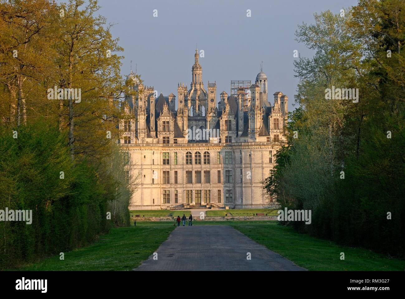 Château de Chambord, Loir-et-Cher, Center-Val departamento de Loira, Francia, Europa. Foto de stock