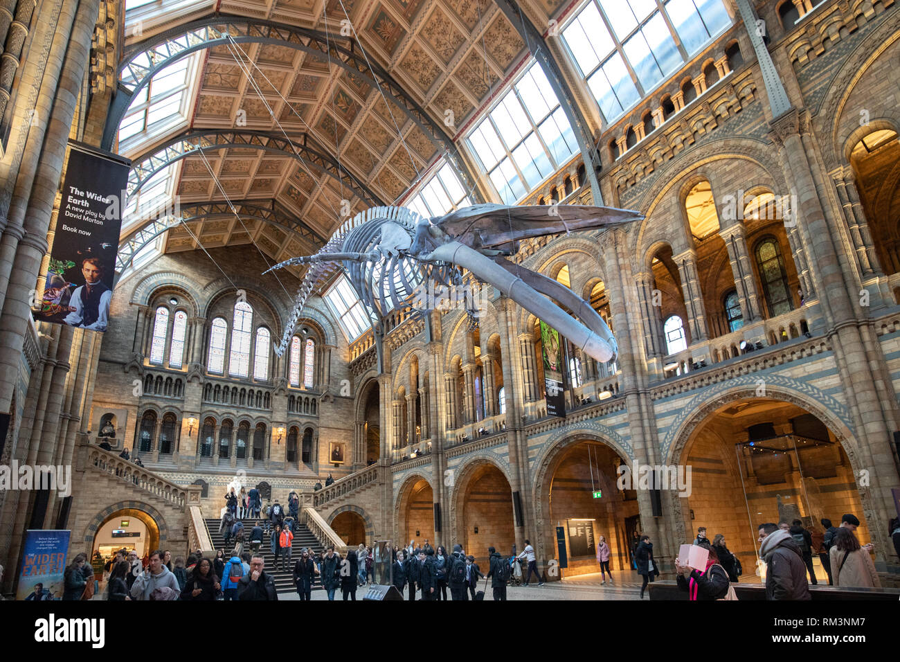 El Museo de Historia Natural de Londres, Reino Unido Foto de stock