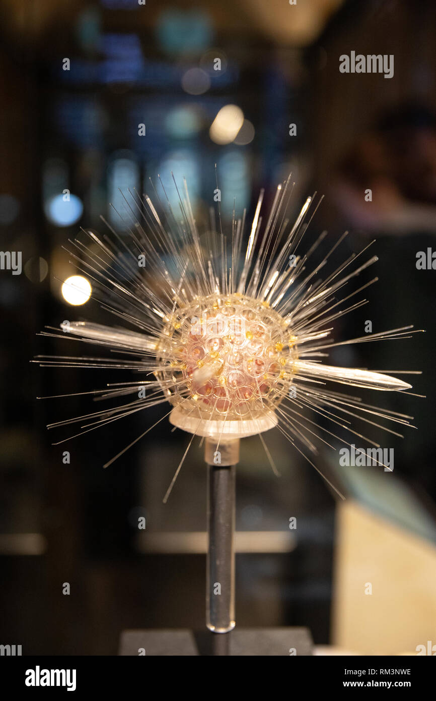 El Museo de Historia Natural de Londres, Reino Unido Foto de stock