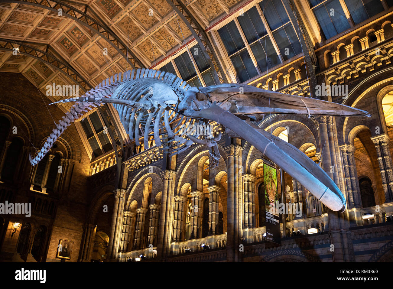 El Museo de Historia Natural de Londres, Reino Unido Foto de stock