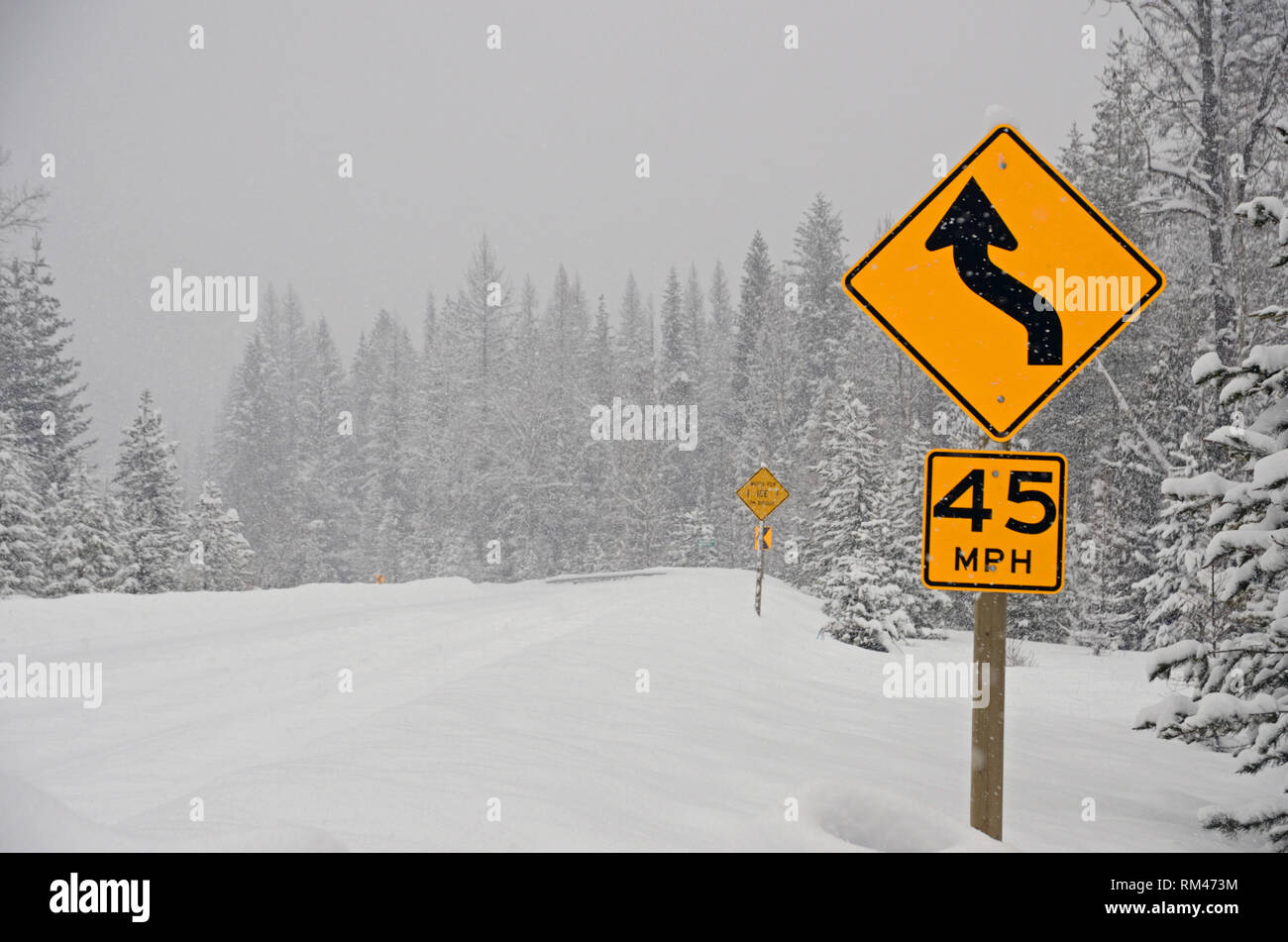 Condado de Lincoln, Montana, EE.UU. 12 Feb, 2019. Las señales de la carretera a lo largo de Montana State Highway 508 en el valle Yaak como tormenta de invierno Nadia se mueve tierra adentro en el norte de Idaho y el noroeste de Montana, verter más de 2 pies de nieve en menos de 24 horas, el 12 de febrero de 2019. Condado de Lincoln, en el noroeste de Montana. Crédito: Randy Beacham/Alamy Live News Foto de stock