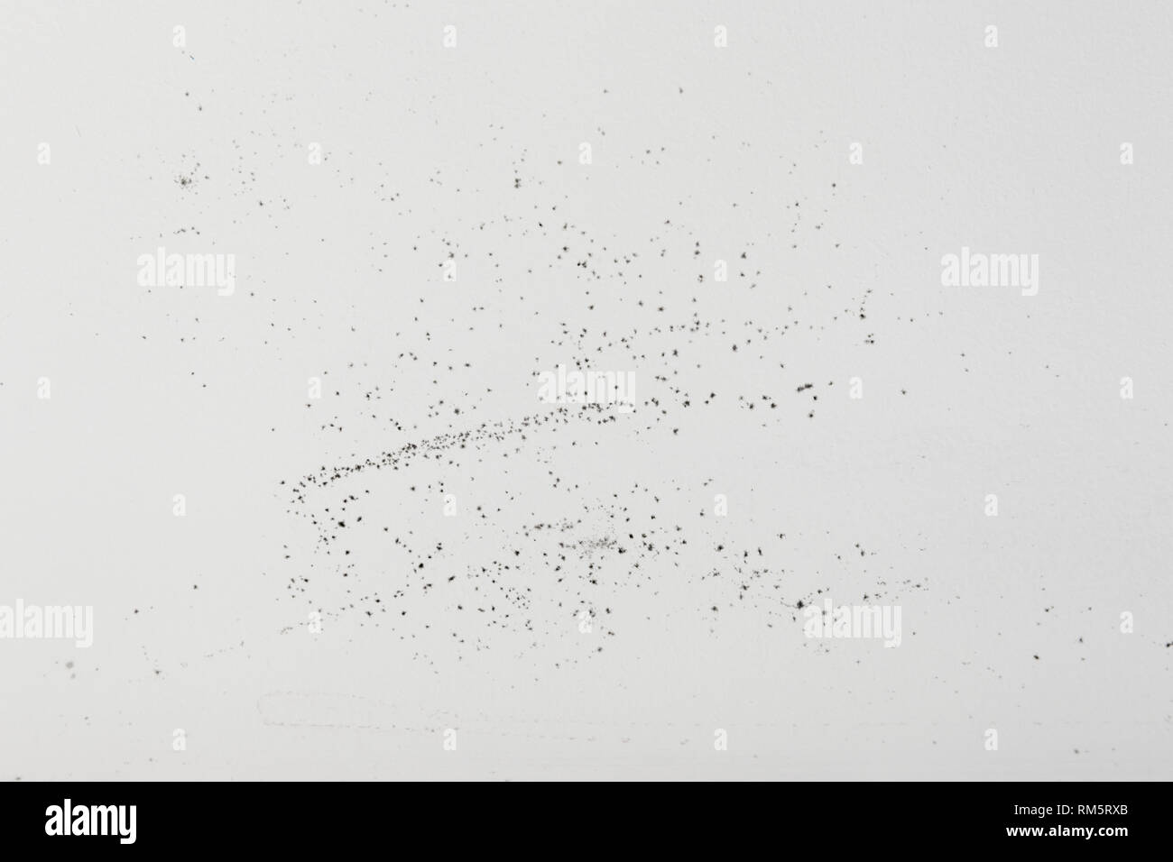 Molde Sobre Una Pared Blanca Textura Del Fondo Foto Imagen De