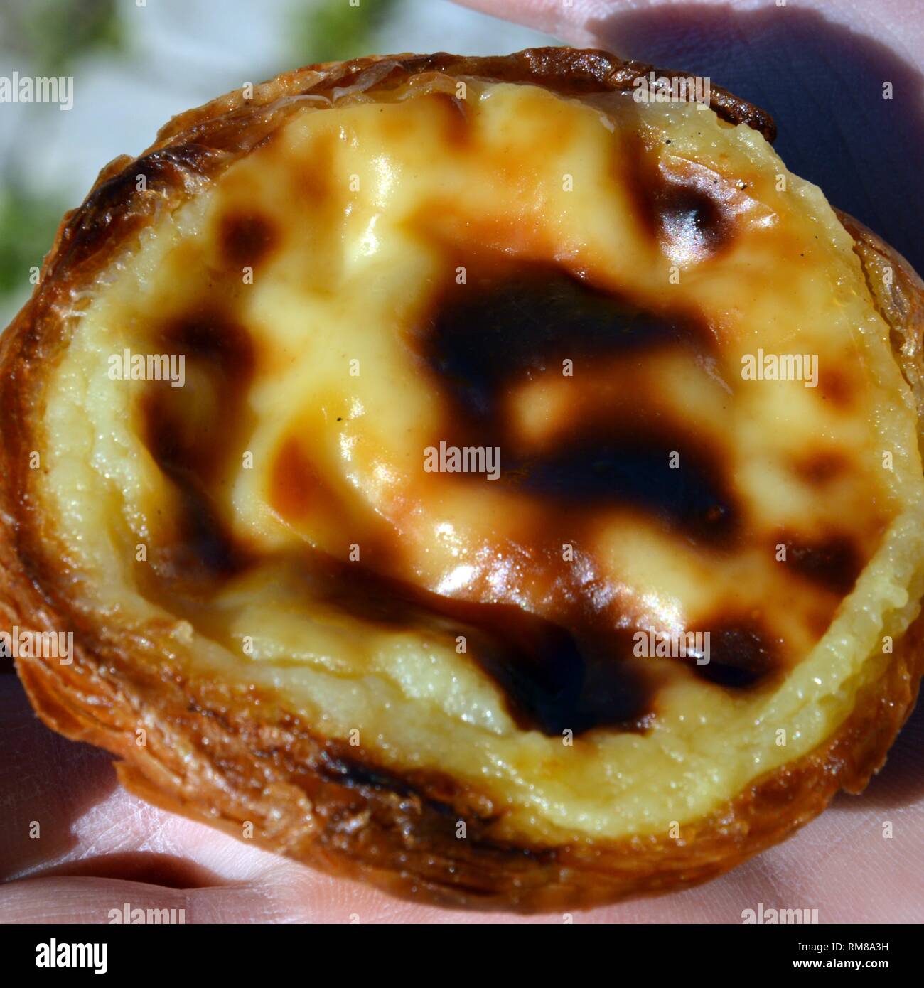 Postre típico online portugués