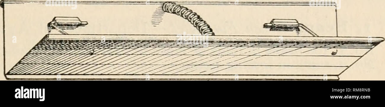 . Informe anual de la Estación de Experimentos Agrícolas. La Universidad de Cornell. Estación Experimental Agrícola; Agricultura -- Nueva York (estado). - 33. Se han realizado en la tierra en barro superficial semilla-sartenes. Estos recipientes están sumamente conveniente, y ofrecen un buen drenaje. En algunos casos, lily-sartenes han sido utilizados, pero difieren en el semilla-sartenes sólo en su contorno circular y algo más profundo. Ilustraciones de semilla-pans pueden verse en las Figs. De 3 a 7. Para la siembra de semillas en las profundidades uniformes, dos dispositivos que se han utilizado. El más simple de estos, (Fig. i), no es nada más que un bloque de media pulgada Foto de stock