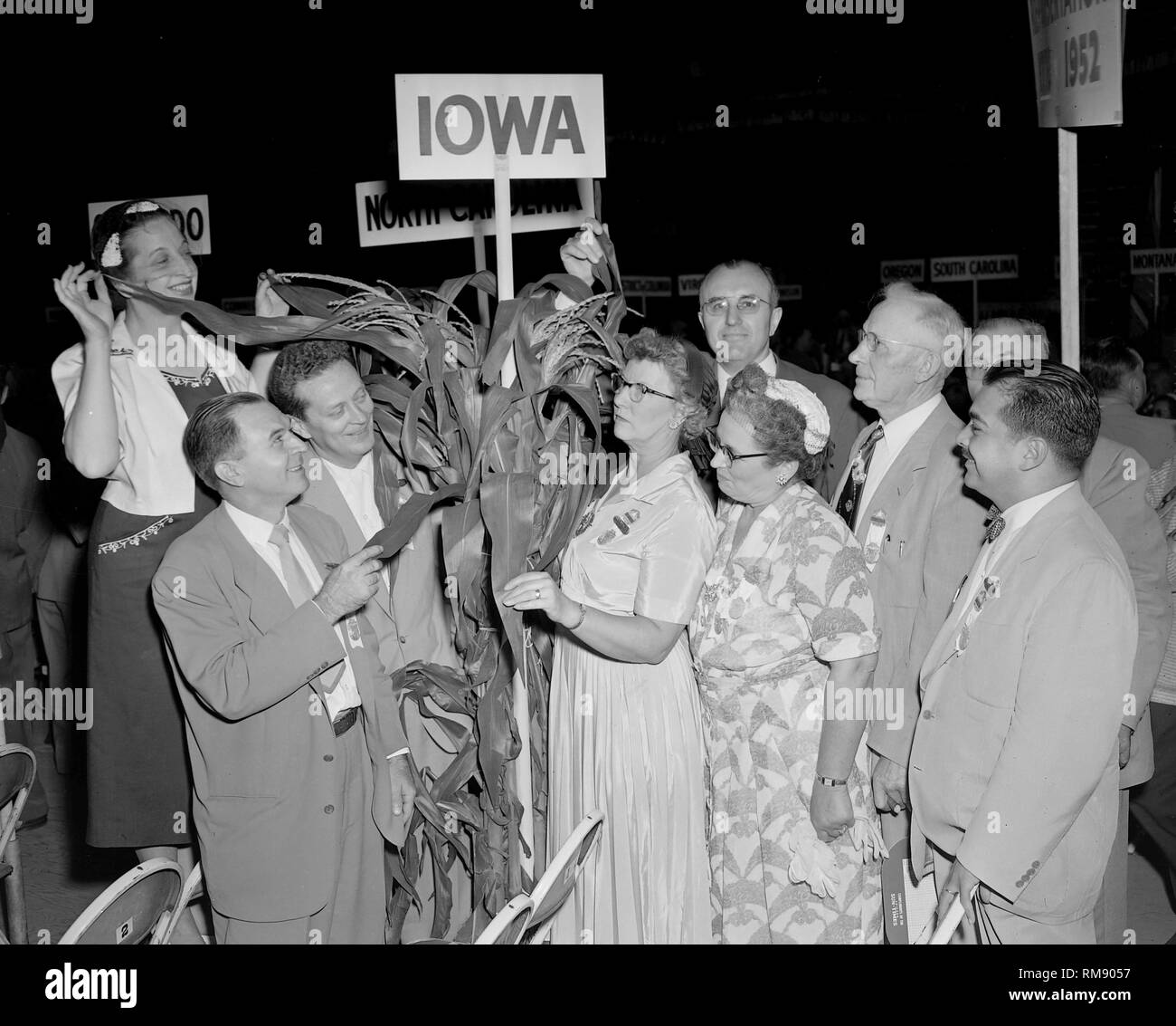 La delegación de Iowa admira un tallo de maíz viven en el suelo del anfiteatro internacional en la Convención Nacional Demócrata de 1952 en Chicago. Foto de stock