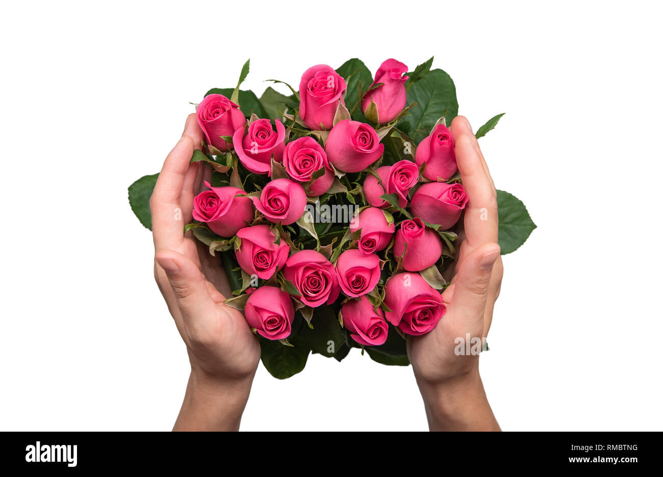 Manos de mujer con un ramo de rosas rosas Fotografía de stock - Alamy