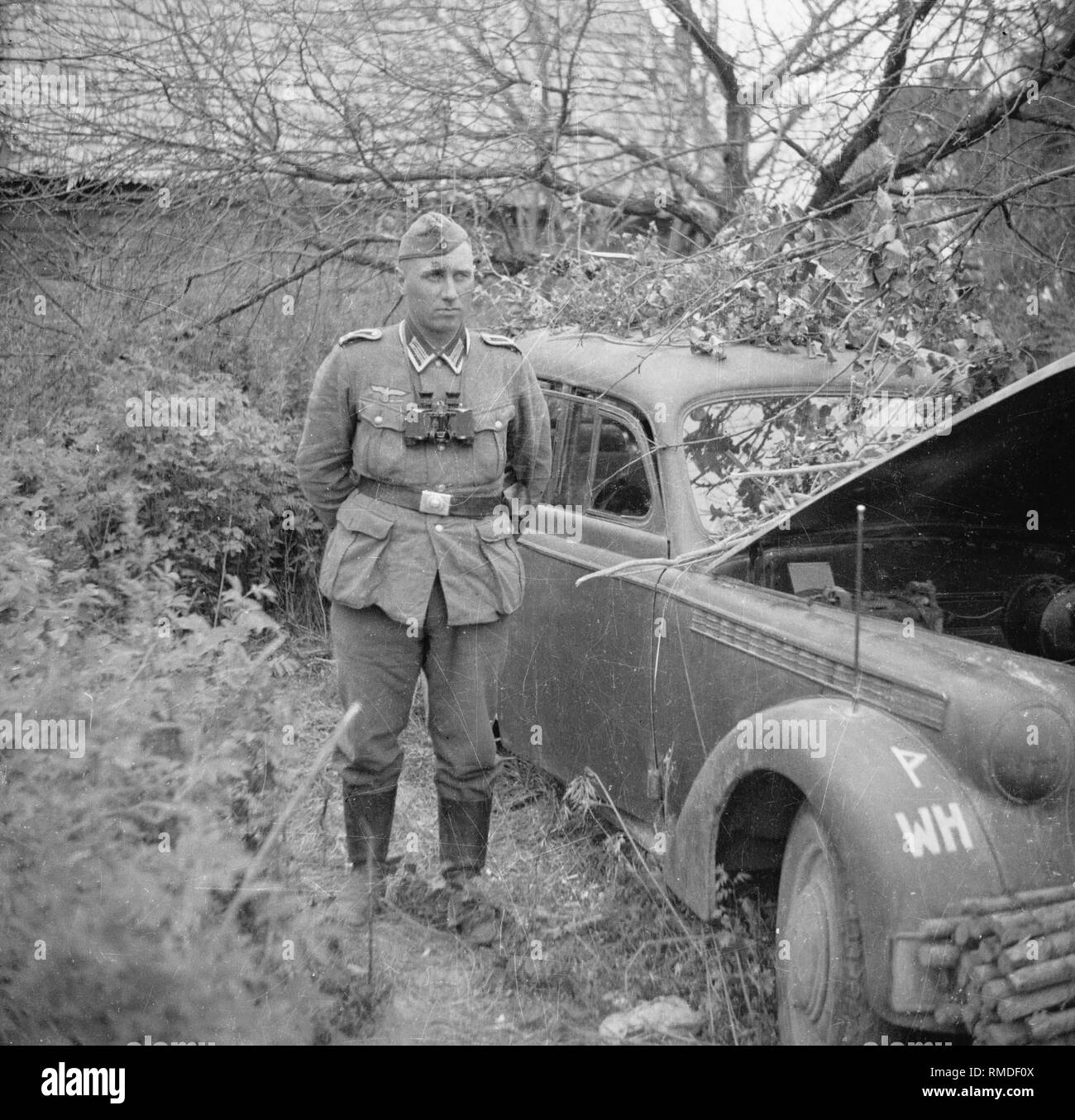 El Sargento (Fldw. Pieper) de la 61ª División de Infantería en una posición de descanso en Koo en los Estados Bálticos en la división del Grupo de Ejércitos Norte. Foto de stock