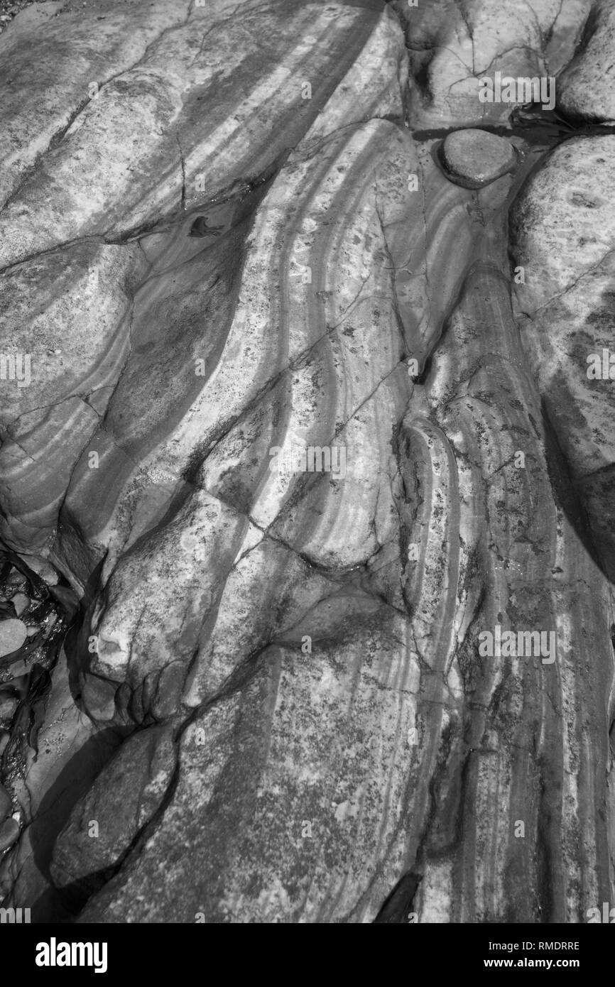 Bandas Lisengang geológico de arenisca en la playa cerca de Crail Harbour. Resumen Antecedentes naturales. Fife, Escocia, Reino Unido. Foto de stock