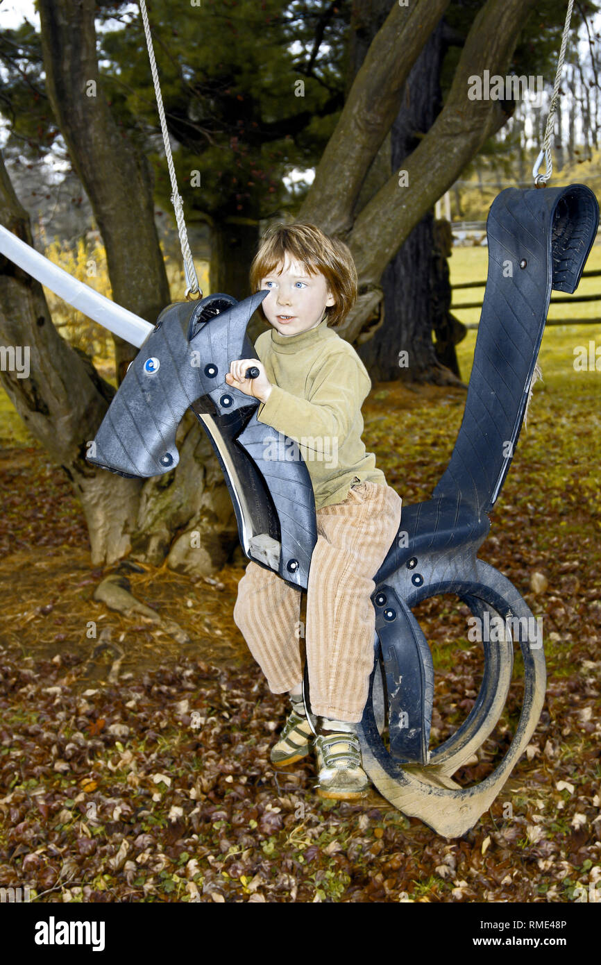 Joven; Neumático de caucho columpio caballo; jugando, sogas, árbol; jugar espada, fingiendo, la imaginación, el otoño; vertical; MR, PR Fotografía de stock - Alamy