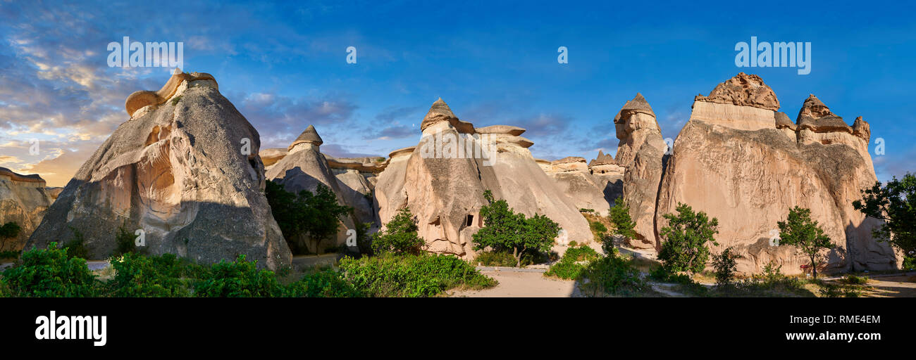Fotos e imágenes de las formaciones rocosas de la chimenea de hadas y los pilares de roca del "Valle de Pasabag" cerca de Goreme, Cappadocia, Nevsehir, Turquía Foto de stock