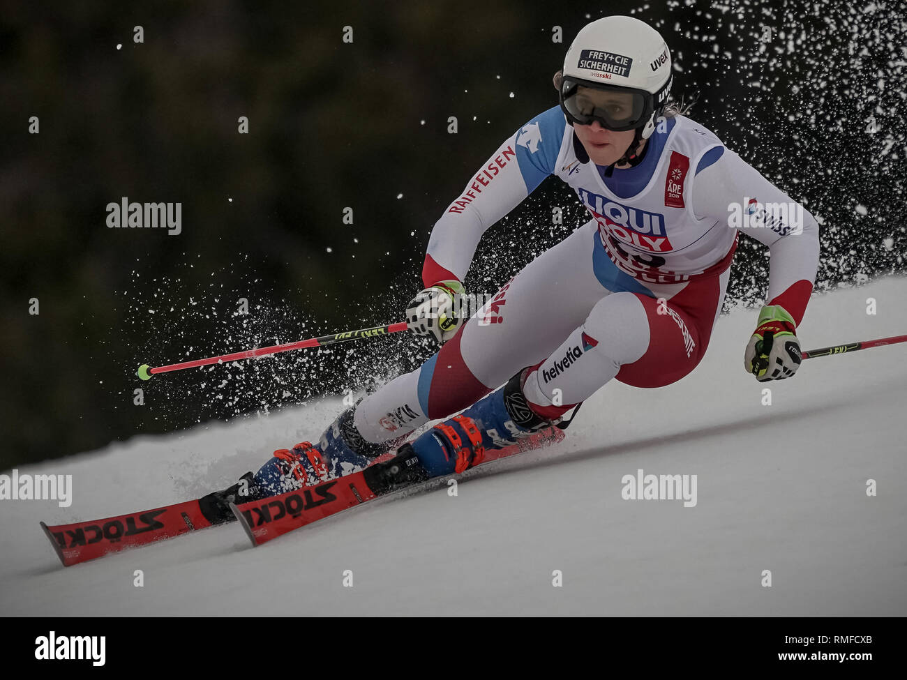 Son, en Suecia. 14 Feb, 2019. Esquí alpino, el campeonato del mundo, slalom gigante, señoras, 1ª ronda: Andrea Ellenberger de Suiza sobre la pista. Crédito: Michael Kappeler/dpa/Alamy Live News Foto de stock