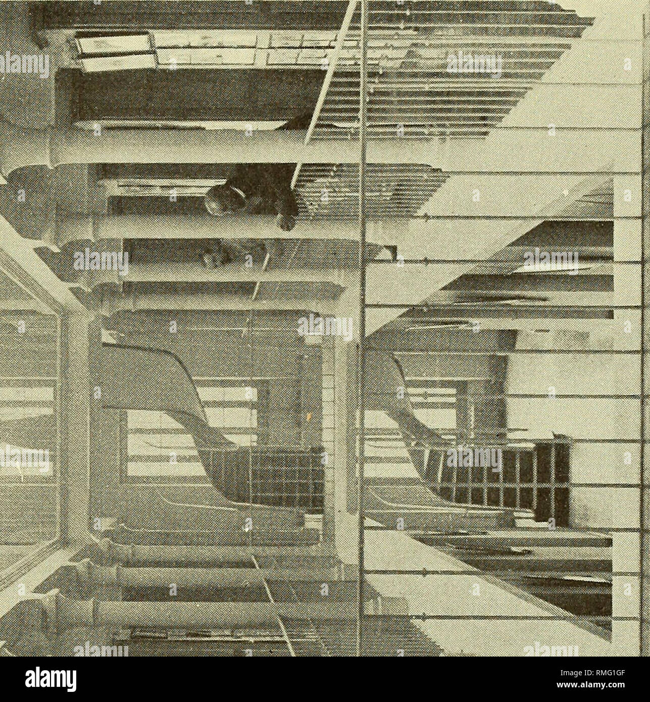 Oh Si Fotos E Imagenes De Stock Pagina 7 Alamy